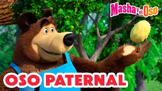 Masha y el Oso 2024 🐻👱‍♀️ Oso paternal 😇🎀🐼 1 hora 🤗 Dibujos animados 🎬 Masha and the Bear [upl. by Jewell]