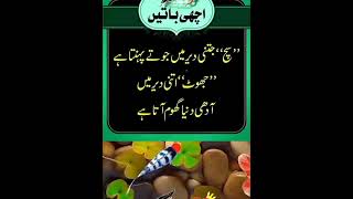 Achi baty  Golden Words In Urdu Urdu Quotes Islamic Information [upl. by Ynes]