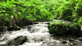 Relaxing nature sounds for stress relief  water asmr  asmr soft mouth sounds for sleepstream [upl. by Drofyar]