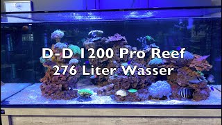 DD 1200 Pro Reef Aquarium Meerwasser  Arka Core Abschäumer  ClariSea SK 5000 Eheim UV Schaubecken [upl. by Noinatrad]