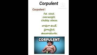 Corpulent meaning in telugu rrb easywaytolearnenglishintelugu ssc [upl. by Avla]