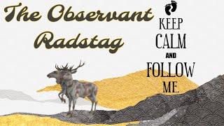 Fallout 76 Random Encounter the observant radstag [upl. by Rednaeel]