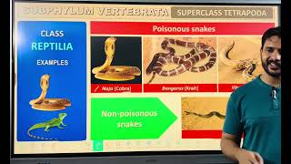 Phylum Chordata part 2 class 11 and neet [upl. by Akemit]