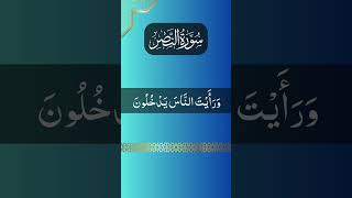 Surah AlNasr The Divine Support  By Mishary quranmajeed [upl. by Linders]