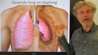 Biologie HV OB Klaplong [upl. by Nawoj712]