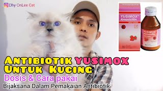 ANTIBIOTIK YUSIMOX UNTUK KUCING  amoxcilin untuk kucing [upl. by Eiramaneet]