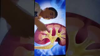 Banyo Kidney Care Commercial 20102013 [upl. by Carin]