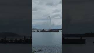 Erstes Schlutuper Hafenfest 1372024 Feuerwehrschiff Lübeck Hafen fest Wasserfontänen Show [upl. by Einahpts]