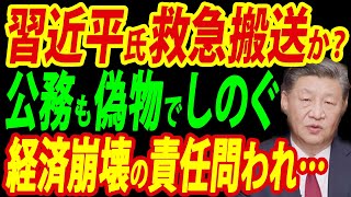 中国株急落にも手出しせず、習近平氏の入院や影武者説は本当か？【総集編】 [upl. by Ynnhoj]