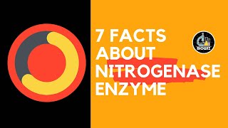 Nitrogenase Enzyme  Nitrogen fixation  Nitrogen Metabolism [upl. by Nipahc]