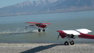 Bird island in the Carbon Cub [upl. by Dachia]