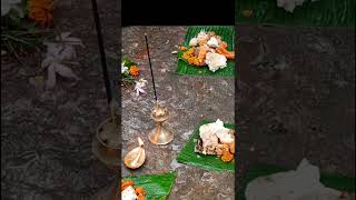 Odisha traditional Samba dashami puja  Odisha traditional food shorts [upl. by Hultin397]