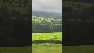 Kericho Tea Plantation viral kisumucity nakuru trend shorts [upl. by Ijneb]