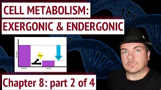 Cell Metabolism Free Energy Exergonic Endergonic [upl. by Nanni]