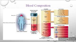 Blood components and functions [upl. by Nyltyak]