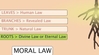 “Human Law amp Divine Law” – Ethics Video 9 [upl. by Berard659]