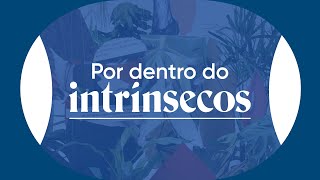 Por dentro do intrínsecos Os abismos de Pilar Quintana [upl. by Nomit]