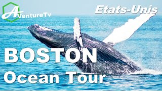 VIVEZ L’EXPÉRIENCE DES BALEINES A BOSTON [upl. by Limaa]