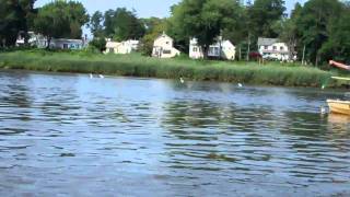 RIVER CRABBING ON THE NAVESINK RIVER [upl. by Ko]