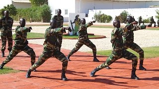 Chorégraphie militaire de soldats sénégalais [upl. by Annairdna]