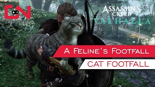 AC Valhalla Cat Footfall Locations A Felines Footfall Quest [upl. by Aihselat286]