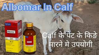 Albomar use in calf [upl. by Pape]