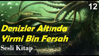 Denizler Altında Yirmi Bin Fersah  Jules VerneSesli Kitap1 Kısım23amp24 Bölümler [upl. by Ecirahc966]