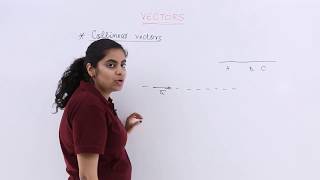 Class 12th – Collinear Vectors  Vector Algebra  Tutorials Point [upl. by Ardnossac566]