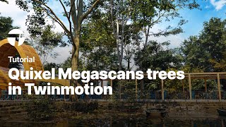 Import Quixel Megascans trees in Twinmotion  Twinmotion Tutorial [upl. by Coumas]