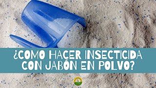 ¿Como hacer insecticida con jabón en polvo [upl. by Mannos]