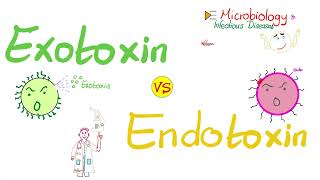 Exotoxins vs Endotoxins  Microbiology 🧫 amp Infectious Diseases 🦠 [upl. by Hobart]