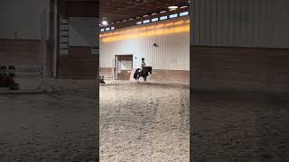 I corrected so many things in my posting trot at my new barn [upl. by Burget]