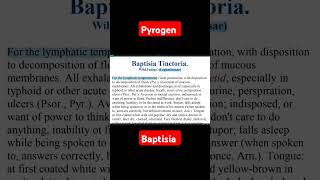 Baptisia tinctoria youtubeshorts matariamedica aiapgetpreparation aiapget shorts homoeopathic [upl. by Rattan74]