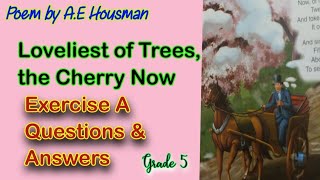 Poem  Loveliest of Trees the Cherry Now  Exercise A Question amp Answer New Oxford Modern English [upl. by Harrison380]