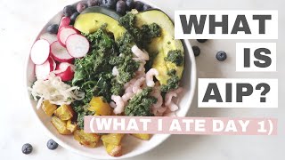 AIP Diet  What is the Autoimmune Protocol  What I ate AIP Day 1 [upl. by Ardiedak]