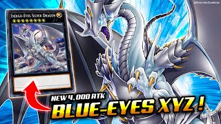 Deck BLUEEYES Post Advent of the Eyes of Blue ft INDIGOEYES SILVER DRAGON❗  Exordio [upl. by Mellar]