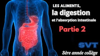 Chapitre 1 Les aliments la digestion et labsorption intestinale partie 2 La digestion svt 3ème [upl. by Kaliope]