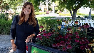 Planting 5 Varieties of Echinacea 🌸🌿💚  Garden Answer [upl. by Aerdnaz]