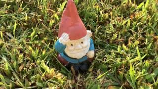 Garden gnome [upl. by Euqinaj]