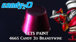 Lets Paint 4665 Candy 2o Brandywine [upl. by Odlo1]