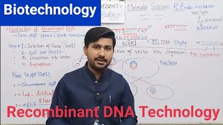 Biotechnology  biotechnology processes and principles Recombinant DNA technology  Biology class 12 [upl. by Atiruam]