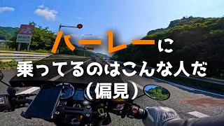 【Z900RS】ハーレーに乗っている人はこんな人だ【偏見モトラジオ】 [upl. by Annaitsirk]