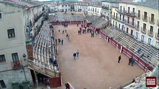 Mañana Martes Carnaval plaza de Ciudad Rodrigo [upl. by Airekat853]