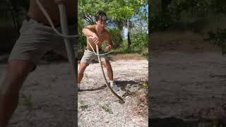 I am Robert  Types Of Snakes  How to Caught Snakes  Different Snakes  Robert Raush [upl. by Arihsa]