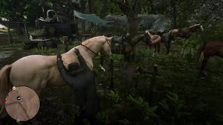 RDR2 TIPS TRICKS  BueLL DuPLiCaTioN By OutLaw Of THe WesT [upl. by Goodspeed748]