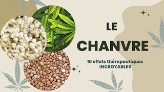 Le CHANVRE découvrez 10 bienfaits remarquables pour une bonne santé [upl. by Care158]