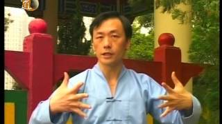 袁康就博士《養生修談》之太極站樁功 2004 Taichi Zhan Zhuang Gong by Dr HC Yuen [upl. by Stent97]