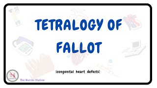 TETRALOGY OF FALLOT  Causes  Pathophysiology Diagnosis  Surgical Treatment  Nursing Management [upl. by Allisirp]