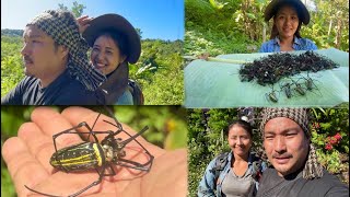 Spider hunting part one  how to hunt cook and eat spider bizarre Naga delicacy  Nagaland [upl. by Driskill]