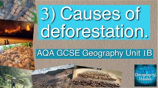 3 Causes of deforestation  AQA GCSE Geography Unit 1B [upl. by Jodie174]